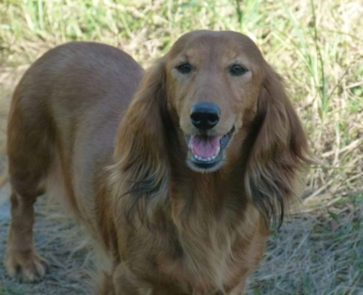 Eliette vd wijsterhoeve