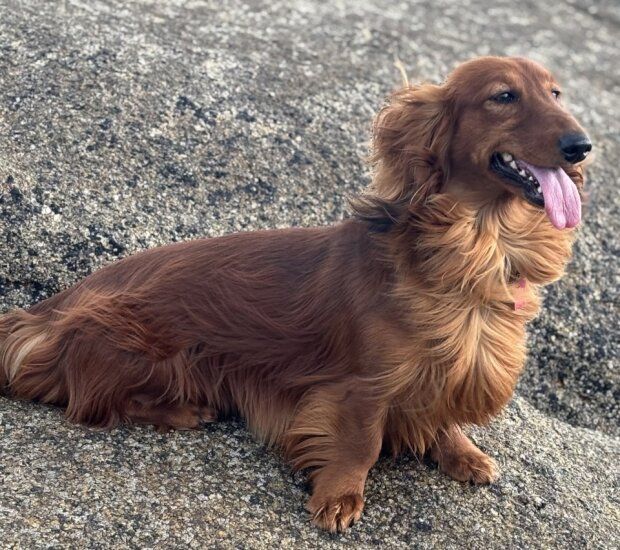 Una bella canzone Du cap des embruns